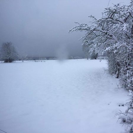 Le Diamanster Francorchamps Villa Stavelot Dış mekan fotoğraf